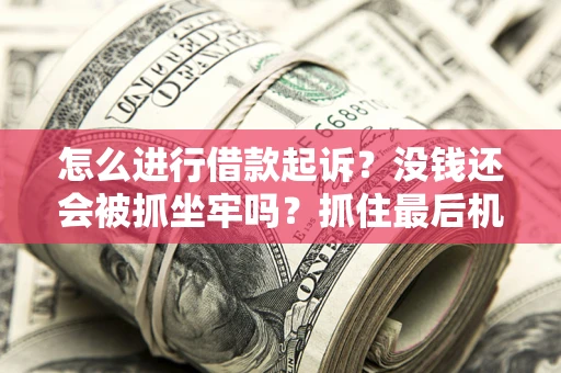 北京怎么进行借款起诉？没钱还会被抓坐牢吗？抓住最后机会！
