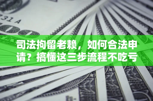 北京司法拘留老赖，如何合法申请？搞懂这三步流程不吃亏！