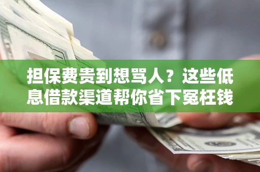 北京担保费贵到想骂人？这些低息借款渠道帮你省下冤枉钱
