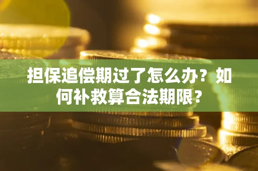 北京担保追偿期过了怎么办？如何补救算合法期限？